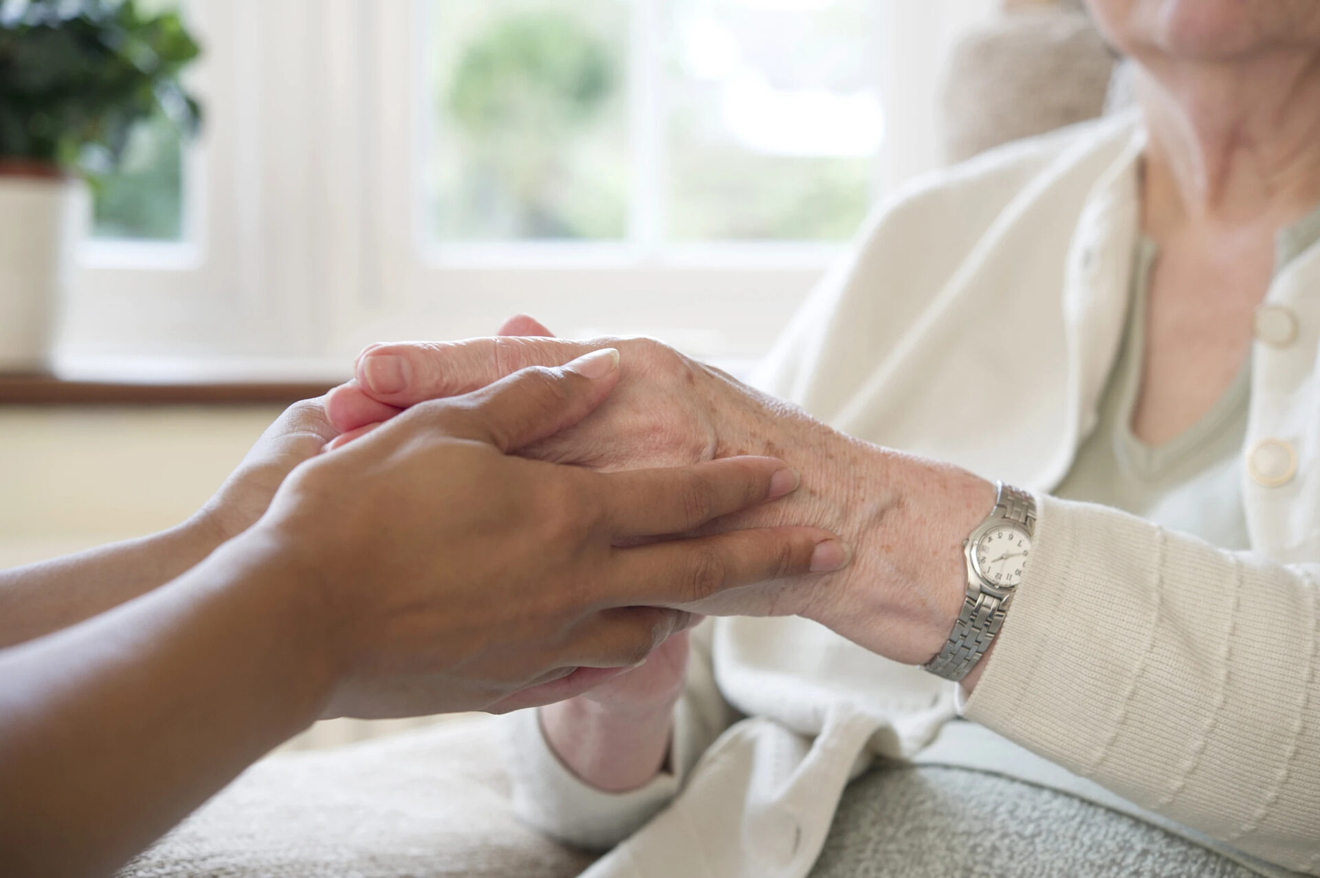 Physiotherapist holding the hands of an older adult patient